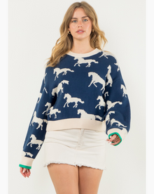  The Gallop Sweater